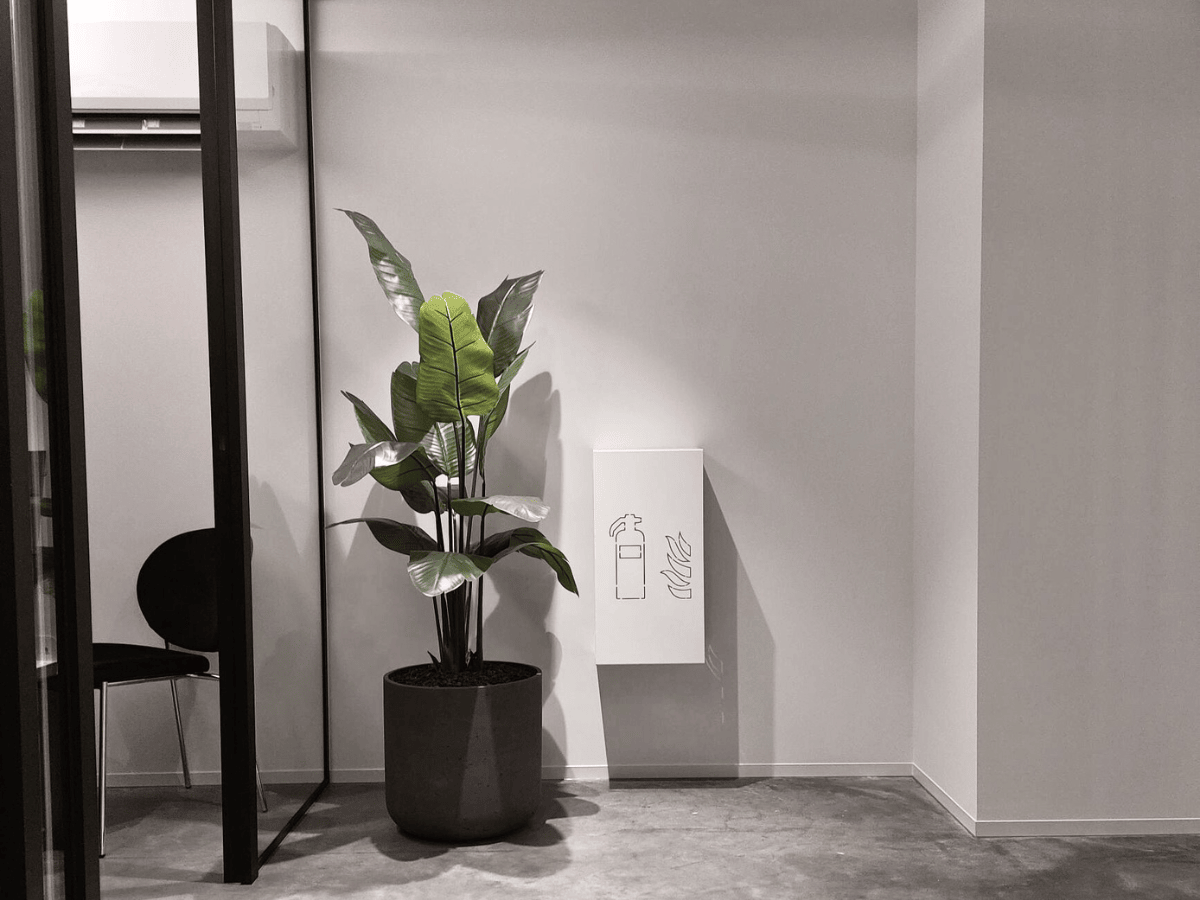 design brandblushouder wit aan muur naast plant
